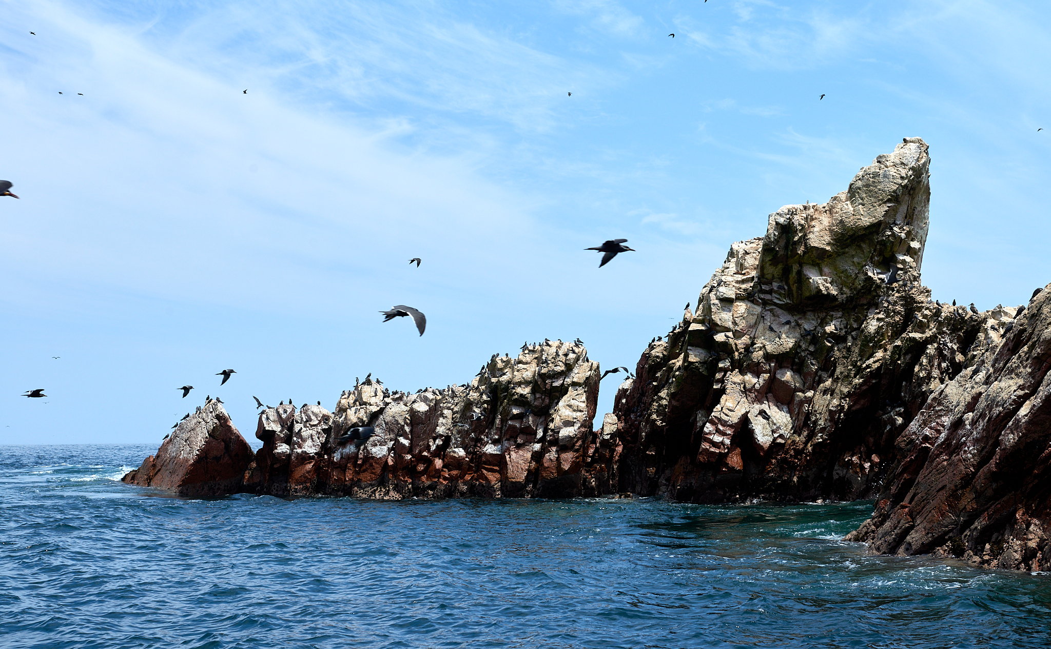 20200304 178 [페루] 바예스타섬